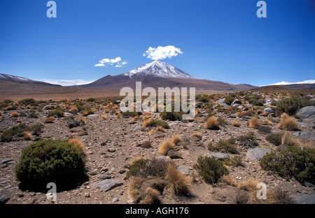 Reserva Nacional Eduardo Avaroa ein Gebiet von natürlicher Schönheit in SW Bolivien auf dem Weg zur Piedra de Arbol Bolivien Südamerika Stockfoto