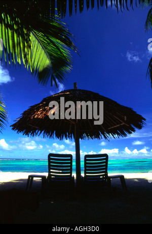 Liegestühle unter Palmen Hütte in Samoa Stockfoto