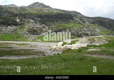 Urstromtal im Naturschutzgebiet La Grande Sassiere Le Saut Tarentaise-Savoie-Frankreich Stockfoto