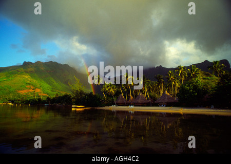 Regenbogen und Regen in Moorea Stockfoto