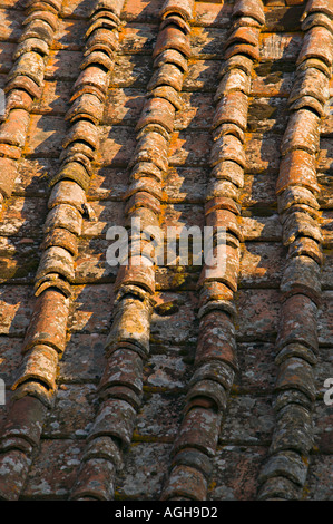 Alte, Terrakotta Dachziegel gebildet in Linien, Casa Alle Vacche, Toskana, Italien Stockfoto