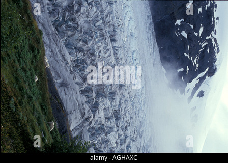 USA Alaska Seward Kenai-Halbinsel Seward Highway Exit-Gletscher und Bergziegen Stockfoto