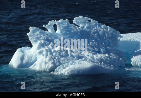 Eisberg vor der Küste des Südlichen Orkney Inseln, Antarktis Stockfoto