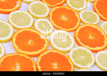 Orange (Citrus Sinensis), orange Scheiben und Zitrone Scheiben Stockfoto