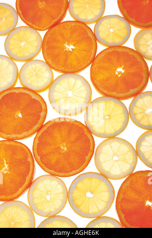 Orange (Citrus Sinensis), orange Scheiben und Zitrone Scheiben Stockfoto