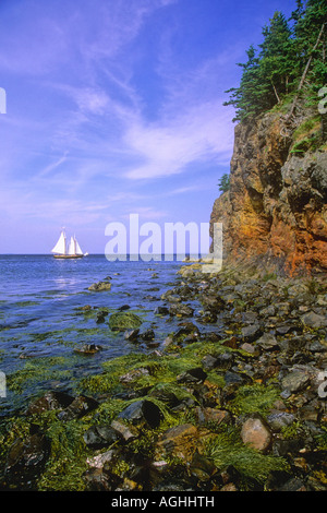 Eulen Kopf am Ufer West Penobscott Bay, Bluff und Ufer und Mottenhalle, USA, Maine, Knox County, Qwl Head Light State Park Stockfoto