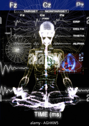 physiologischen Eigenschaften des menschlichen Körpers Stockfoto