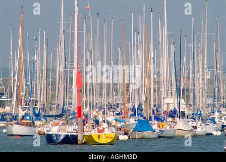 Yachten ankern in Lymington Marina schaffen einen Wald von Masten Stockfoto