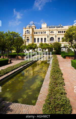 Jardines Alcalde Pedro Ruiz Alonso und dem Rathaus Malaga Spanien Stockfoto