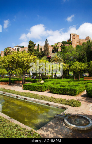 Blick auf die Alcazaba friom die Jardines Alcalde Pedro Ruiz Alonso in Malaga Spanien Stockfoto