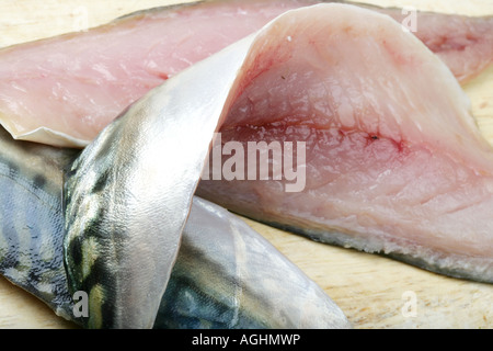 Frische, gesunde Roh ungekocht Makrele Fischfilets, Nahaufnahme, mit keine Personen Stockfoto