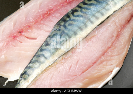 Frische, gesunde Roh ungekocht Makrele Fischfilets, Nahaufnahme, mit keine Personen Stockfoto