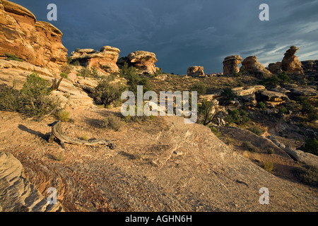 Canyonlands National Monument südlichen Bereich Utah Stockfoto