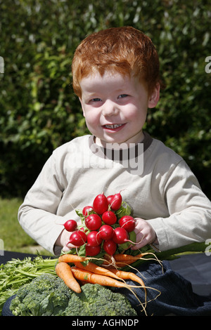 Junge Gemüse aus dem Garten sammeln Stockfoto