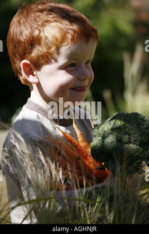 Junge Gemüse aus dem Garten sammeln Stockfoto