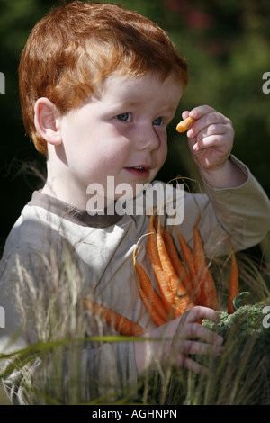 Junge Gemüse aus dem Garten sammeln Stockfoto