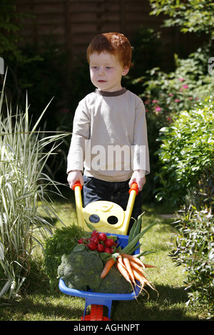 Junge Gemüse aus dem Garten sammeln Stockfoto