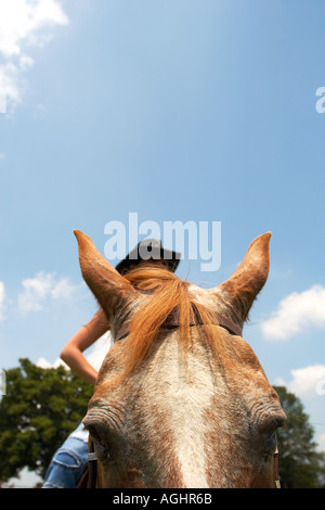 Cowgirl mit Cowboy-Hut, ein Pferd in einem Formular mit blauem Himmel zu befreien Stockfoto
