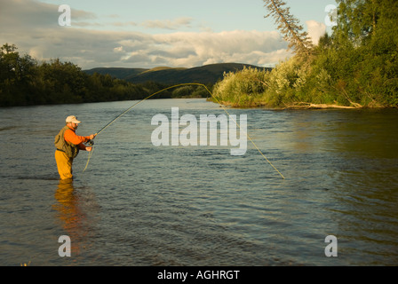 Alaska Südwesten Fly Fisherman waten und casting im Abendlicht beim Angeln am Fluss King Salmon Stockfoto