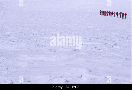 Langläufer Stockfoto