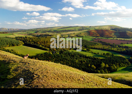 Shropshire Hügel und die Long Mynd in der Nähe von Kirche Stretton entnommen Pontesford Hill Shrewsbury Shropshire England UK GB britische Stockfoto