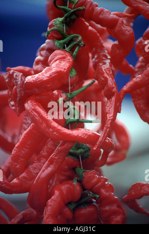 Rote Chilischoten, die an einer Schnur hängend Stockfoto