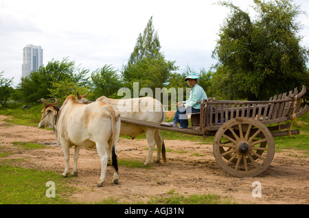 Zwei asiatische Ochsen an einem alten alten asiatischen Holz 14 Radspeichen Bullock-Wagen, für Touristen in Thailand Asien eingesetzt gespannt. Stockfoto