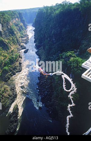 Bungee-Jumping von 152 Meter hohe Victoria Falls Bridge über dem Sambesi-Fluss zwischen Simbabwe und Sambia Stockfoto