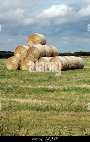 Strohballen, Norfolk, Großbritannien Stockfoto