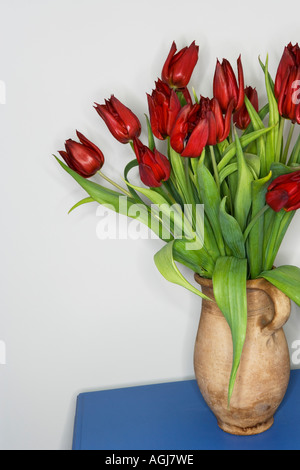 Rote Tulpen in braunen Steingut Krug auf eine blaue Fläche stehen. Stockfoto