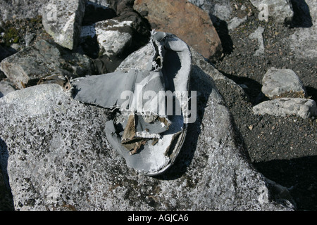 bleibt der Goldrush von 1897 herumliegen werden im Bereich der Skalen Chilkoot Trail Alaska USA Stockfoto