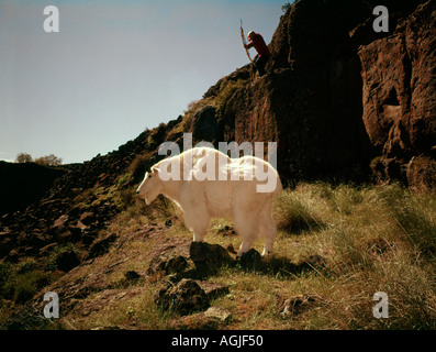 Bogen Sie Jäger Umweltgifte unter Bergziege im Hochgebirge Stockfoto