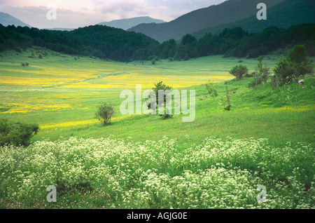 Eine Landschaft im italienischen Nationalpark Abruzzo Lazio und Molise Stockfoto