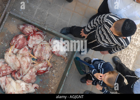 Junge orthodoxe Juden, die das geschlachtete Huhn in Mea Shearim, einer ultraorthodoxen Enklave in Westjerusalem Israel, betrachten Stockfoto