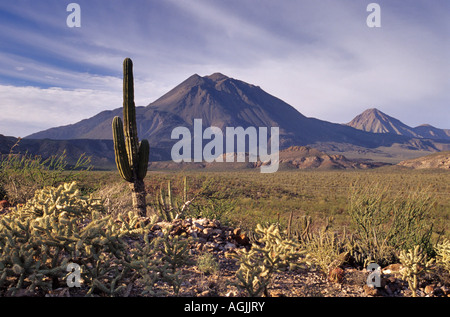 Tres Virgenes Vulkan in der Nähe von Santa Rosalia in Central Desert, Baja California, Mexiko Stockfoto