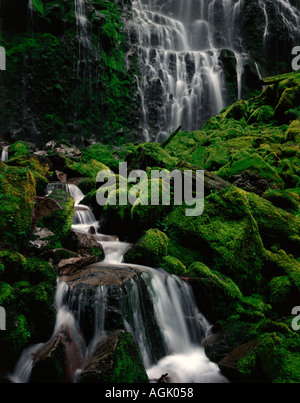 Lower Proxy Falls in Oregon, wo ein nebliger Wasserfall über Moos Kaskaden, bedeckt Felsen in einer feuchten grünen Landschaft Stockfoto