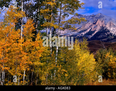 Sägezahn nationale Erholung Area of Idaho wo die Boulder Berge mit Herbstfarben auf die Espe Bäume zu sehen sind Stockfoto