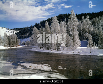 Sägezahn National Recreation Area of Idaho und der Salmon River wo Rauhreif die Bäume in weiß beschichtet hat Stockfoto