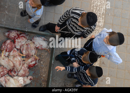 Junge orthodoxe Juden, die das geschlachtete Huhn in Mea Shearim, einer ultraorthodoxen Enklave in Westjerusalem Israel, betrachten Stockfoto