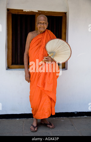 Buddhistischer Mönch, Studium der Philosophie des Theravada von Nirwana Sutra im Malwatte-Tempel Stockfoto