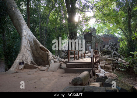 Eingang des Angkor Tempel Stockfoto