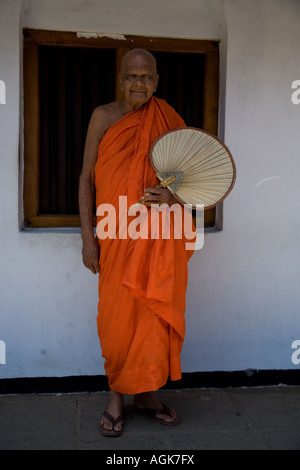 Buddhistischer Mönch, Studium der Philosophie des Theravada von Nirwana Sutra im Malwatte-Tempel Stockfoto