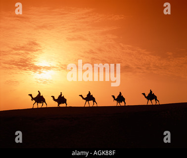 Kamel-Karawane bei Sonnenuntergang in der Wüste Luxor Ägypten Stockfoto