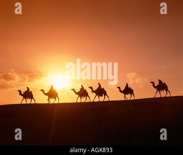 Kamel-Karawane bei Sonnenuntergang in der Wüste Luxor Ägypten Stockfoto