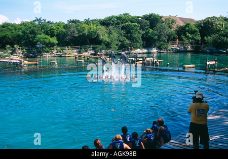 Touristen und Delfine in der Lagune von Xel-Ha an der Riviera Maya in Mexiko Stockfoto