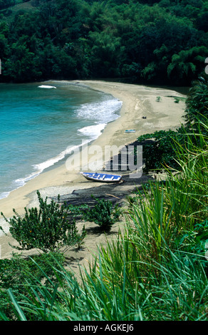 Tobago Trinidad Bloody Bay Stockfoto