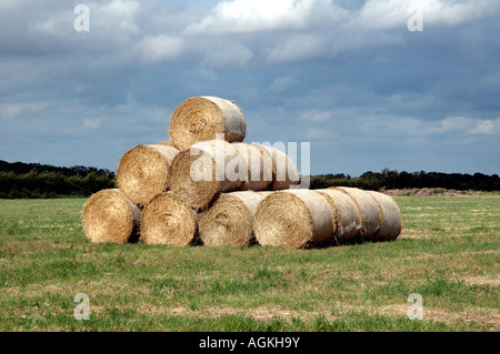 Strohballen, Norfolk, Großbritannien Stockfoto