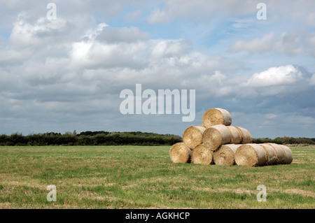 Strohballen, Norfolk, Großbritannien Stockfoto