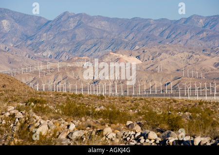 Eines Windparks in der San Gorgonio Mountain Pass in Palm Springs Kalifornien, USA Stockfoto