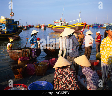 Angeln Dorfbewohner sammeln am Morgen fangen von Fischen Boot Flotte Mui Ne südlich-zentralen Küste Vietnam Indochina Stockfoto